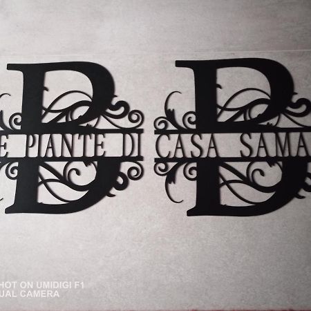 Le Piante Di Casa Samar Bed & Breakfast Castelguelfo Екстериор снимка