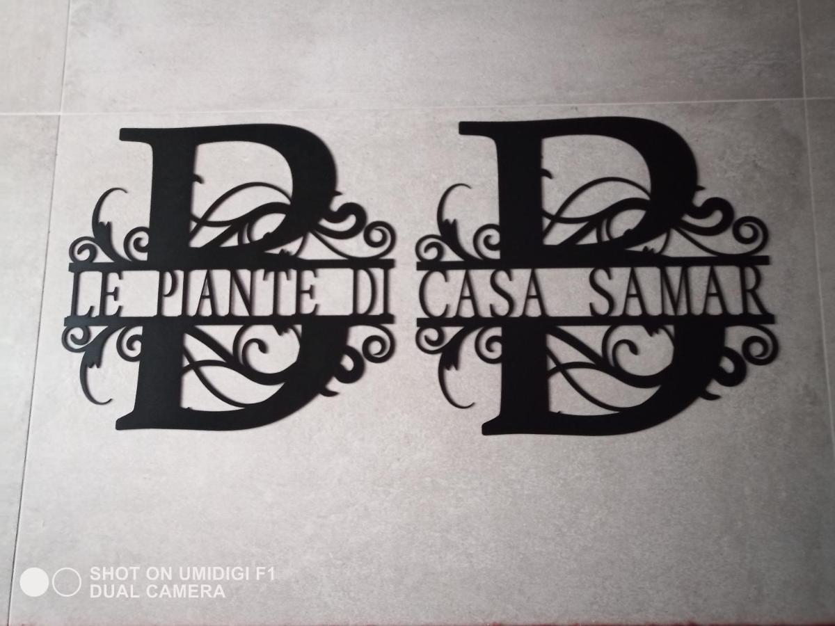 Le Piante Di Casa Samar Bed & Breakfast Castelguelfo Екстериор снимка