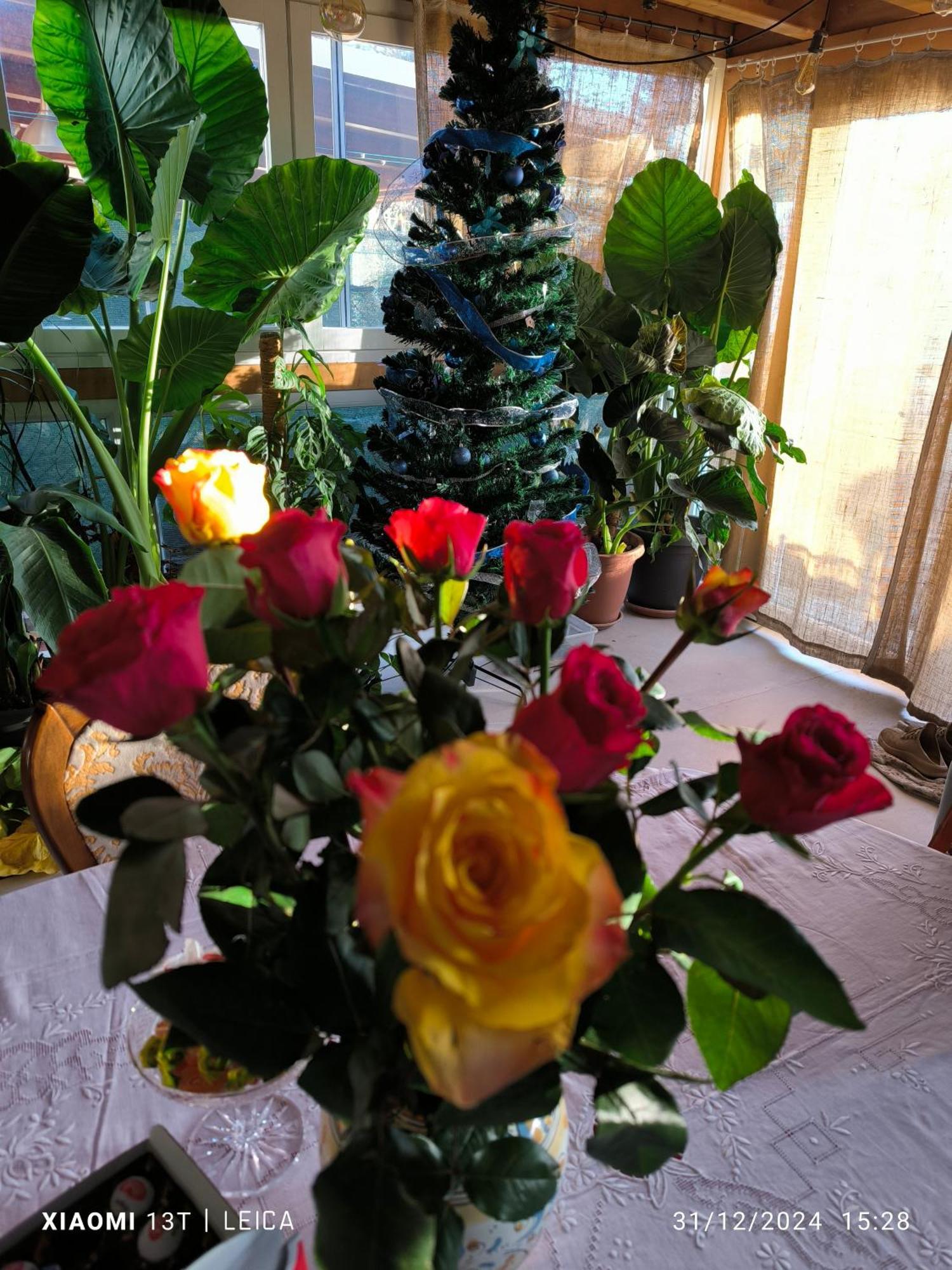 Le Piante Di Casa Samar Bed & Breakfast Castelguelfo Екстериор снимка